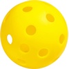 image:imageOnix Recruit Pickleball Starter Set for All Ages and Levels to Learn to Play